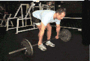 1c65fa44dd0c46709c720949a459aff1.gif