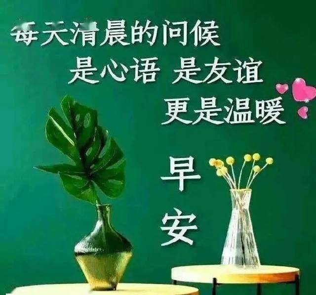 致关心我的人,谢谢您的默默陪伴,让我温暖,早上好