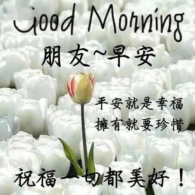 2ca74f109ad547628242287574c633d6.jpeg