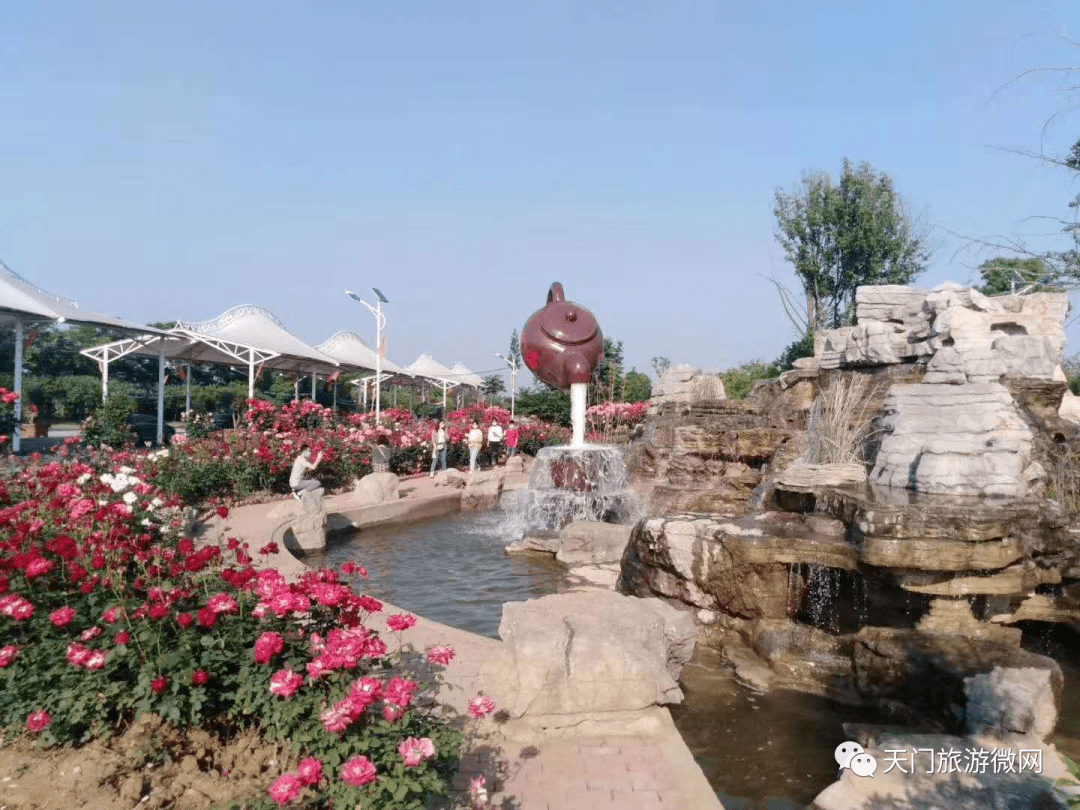枣阳玫瑰海,占地3740亩,景区以爱情,浪漫,美丽为主题,集海观赏,田园