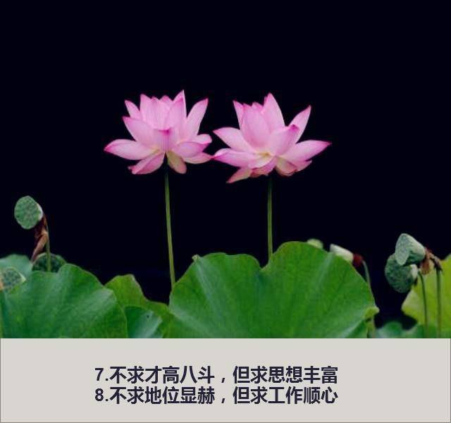 不求位高权重,但求工作顺心