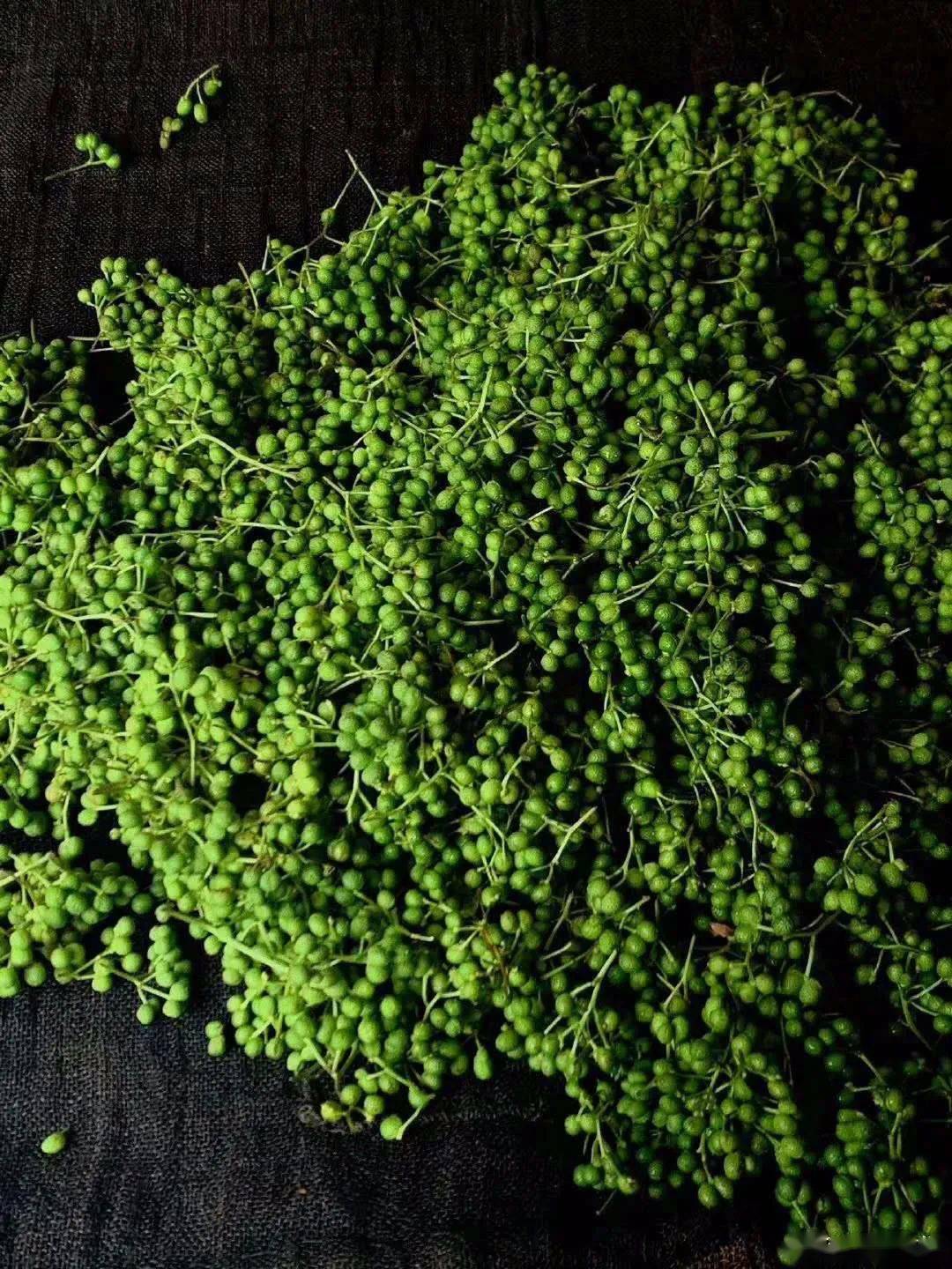 山椒是什么 8cd2200ed516417e90fa952e9b5ec94c.jpeg