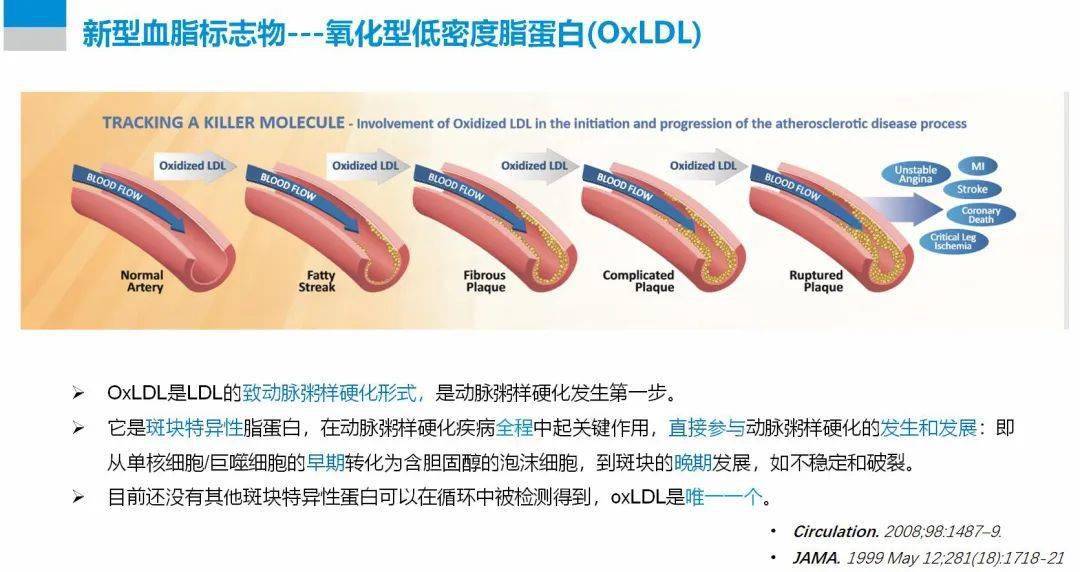 小密度低密度脂蛋白1.23 cb5e5df4405c4b769963cce6ec0703c5.jpeg