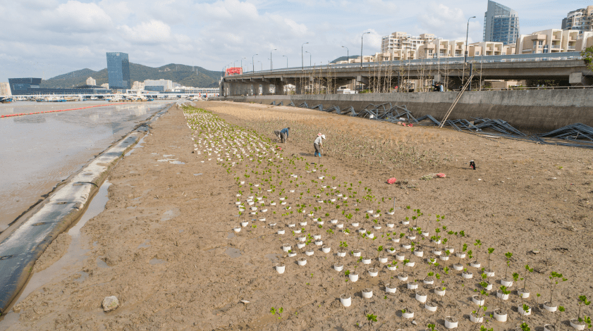 浙江各城市GDP占比_浙江大学(3)