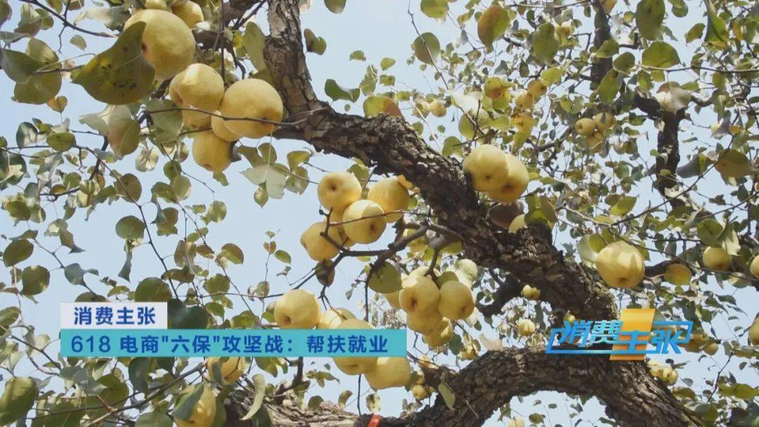 文章配图-11