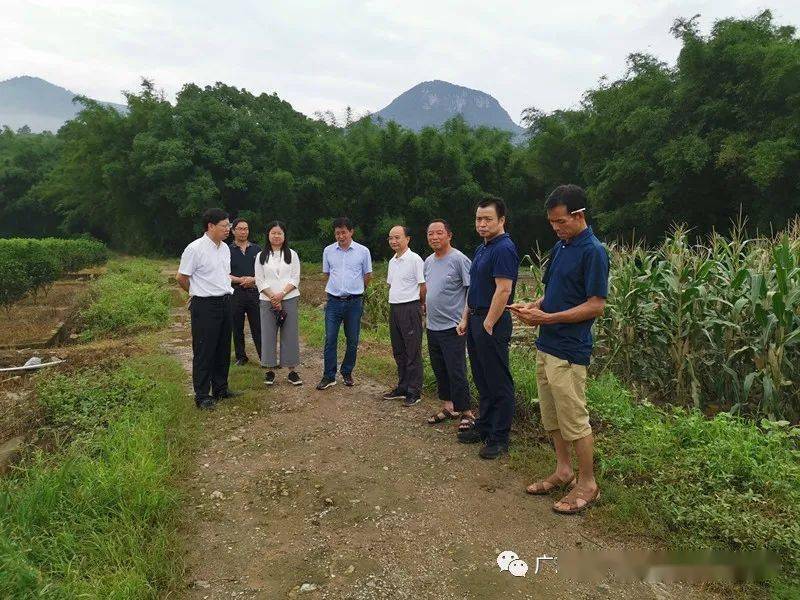 到达旱坑村后,钟庆才副局长在阳山县副县长林怡,杜步镇党委书记陈志明