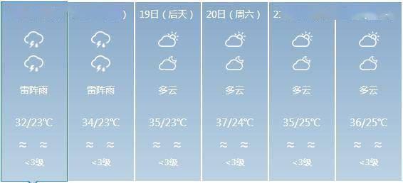 白沙每日工作动态(2020年6月17日)