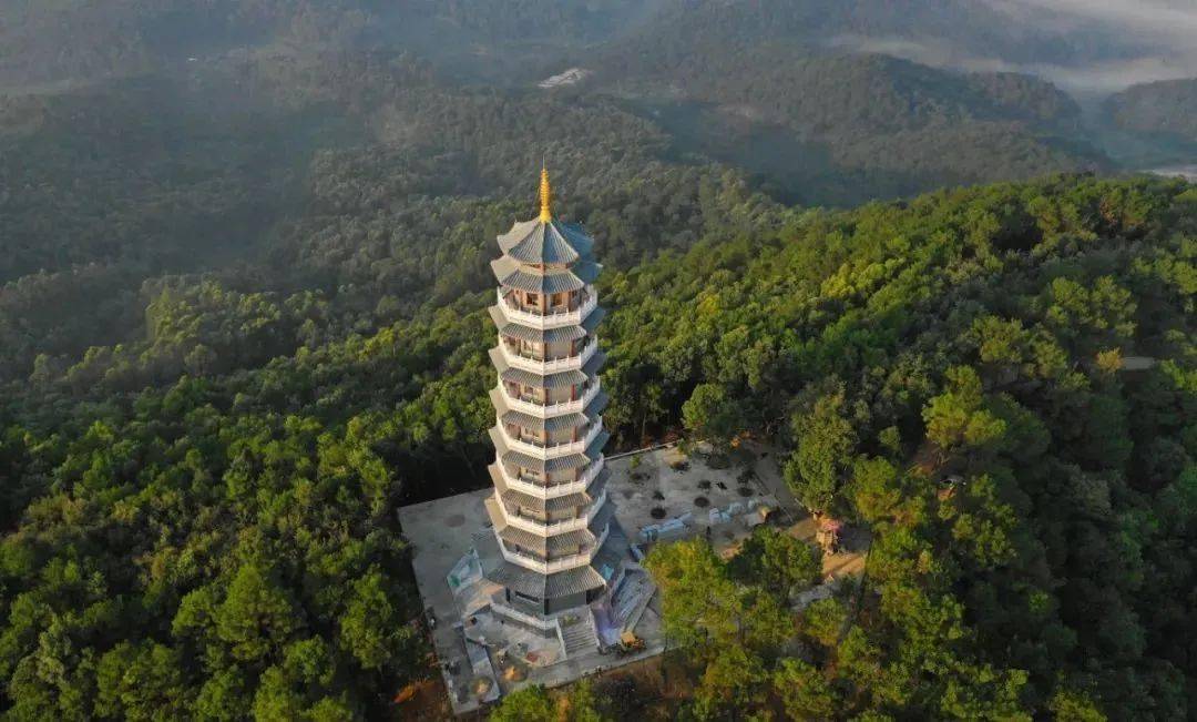 郁南人口有多少_郁南大王山森林公园