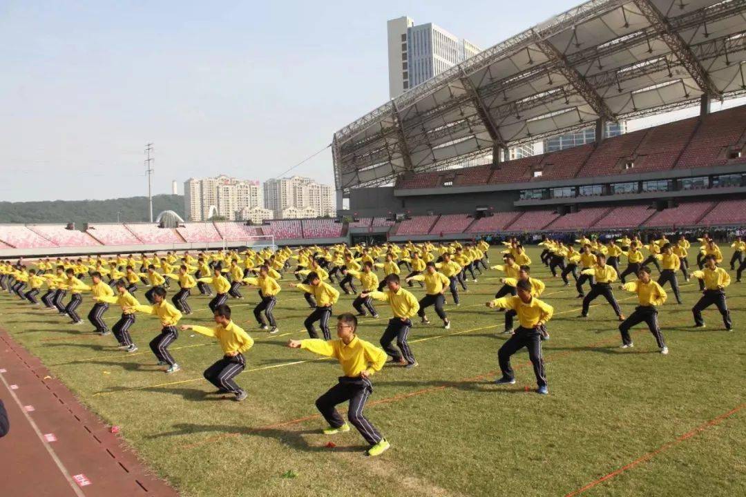 武术不仅要走进校园，更要走进家庭！