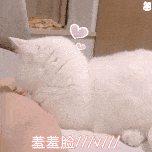 来一波猛男必备表情包