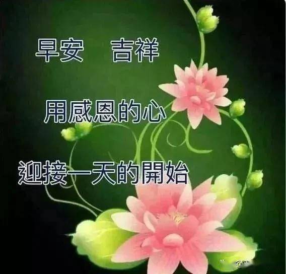 怎样才能上好圆领 d94c3c80d8e3493f88e305994a3ffafd.jpeg