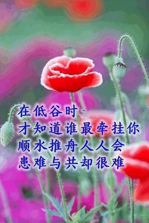 时间,带走生命过客,留下的却是真心人
