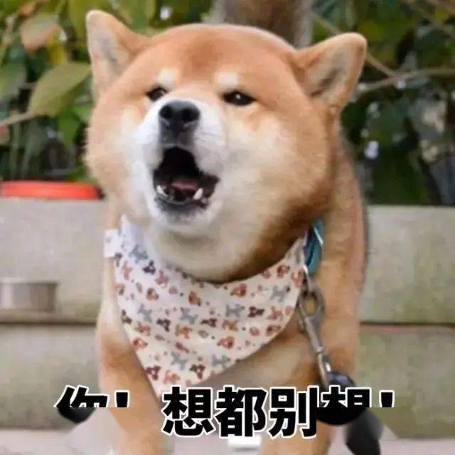 c143c2c153b54de0a730e9db8bcd89c6.jpeg