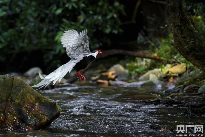 活动|广东启动第二届穿越北回归线风景带活动