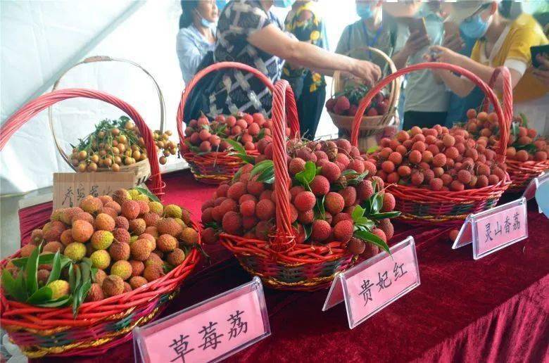 灵山荔枝节签下2亿大单!"荔枝王"现身!市场上一果难求