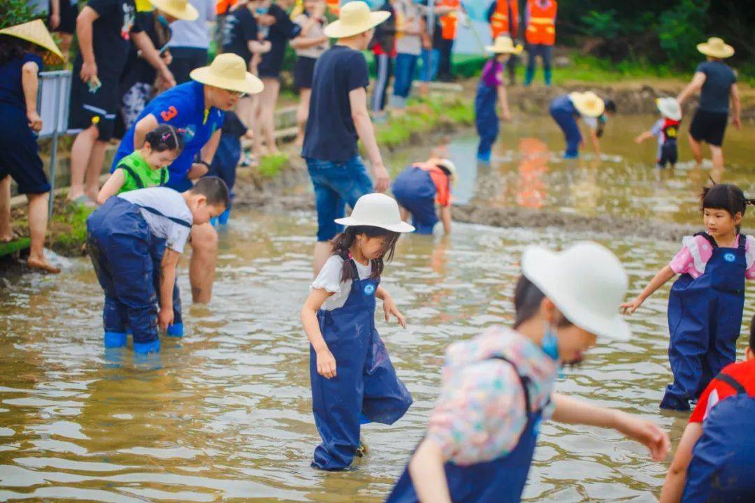 来咯来咯香乡恬田花姿势自然课堂河塘摸鱼泥地抓鸭泡泡大战爽翻了