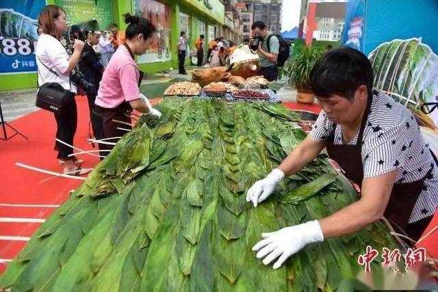 广西民众一天一夜煮制588斤大"粽王" 馅料包进牛头与整头大香猪