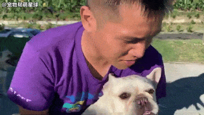 壁纸 动物 狗 狗狗 408_230 gif 动态图 动图