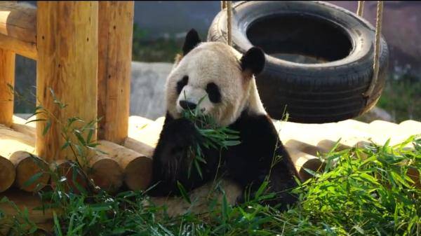 无锡|“缘大”回川，等你回来！