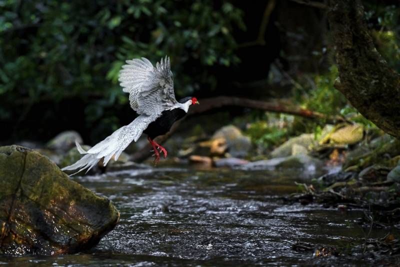 活动|网上免费预约！探秘广东北回归线风景带