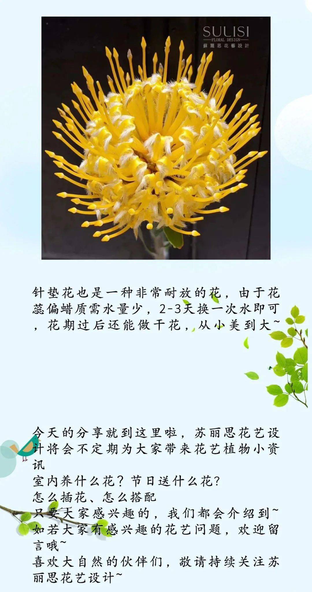 成语花什么木接_成语故事简笔画(5)