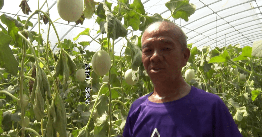马楼镇这个村的特色种植业引领乡村振兴!