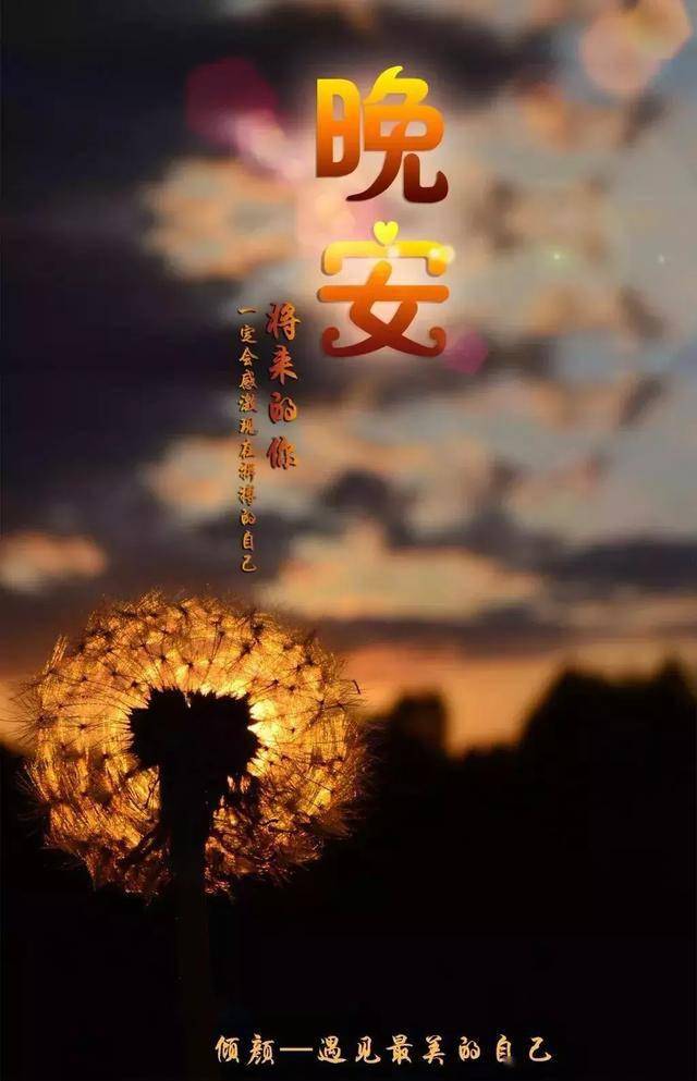 勇敢去拼搏,别让明天的自己后悔,晚安,亲们,晚安
