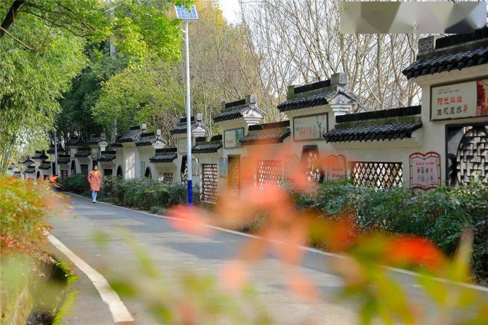 脱贫攻坚成果展 | 宜兴市西渚镇白塔村:白塔味道 幸福