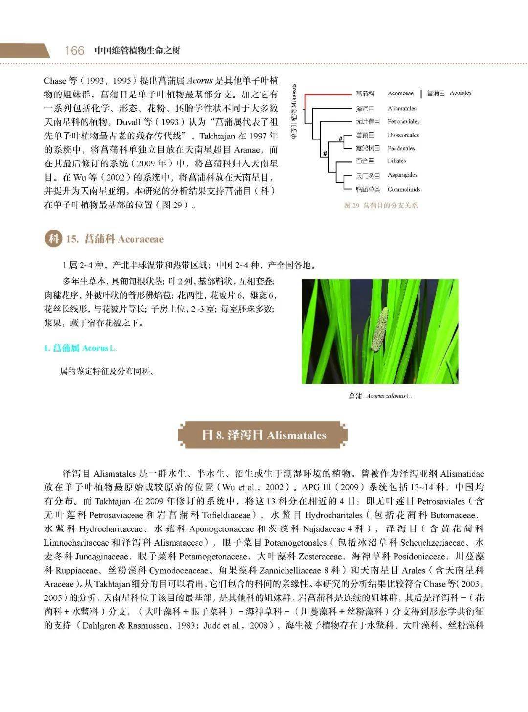 生命之树是什么项目 051bde0736b24e48ada2b5d960979415.jpeg