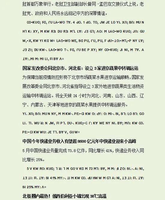 简谱草果_草果图片(2)