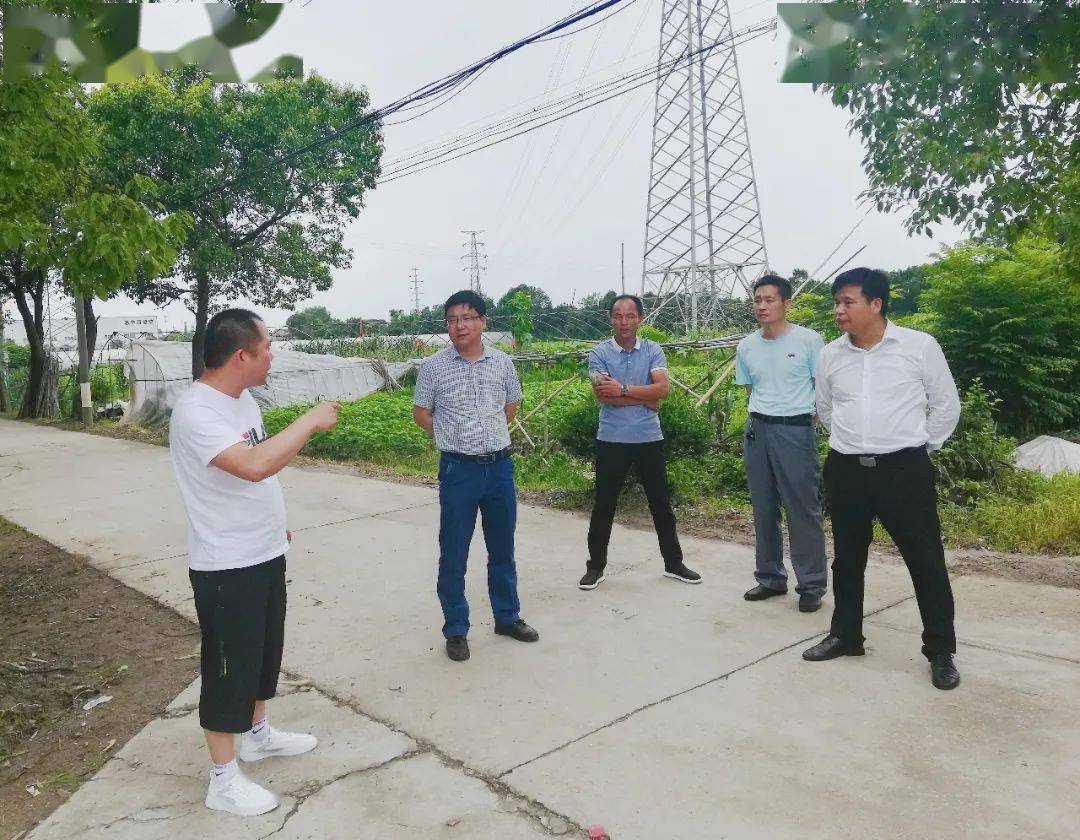 碧溪在行动全速推进农村人居环境整治再发力