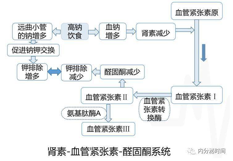 但自主分泌醛固酮的原发性醛固酮增多症患者,则无明显的抑制作用,高