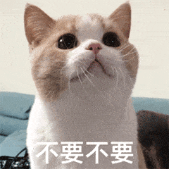 粉丝投稿 猫咪想想表情包