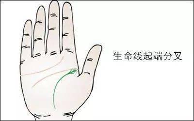 什么样的手掌线是好的 8dca5a6947a44c63bfaceb5de9afd481.jpeg