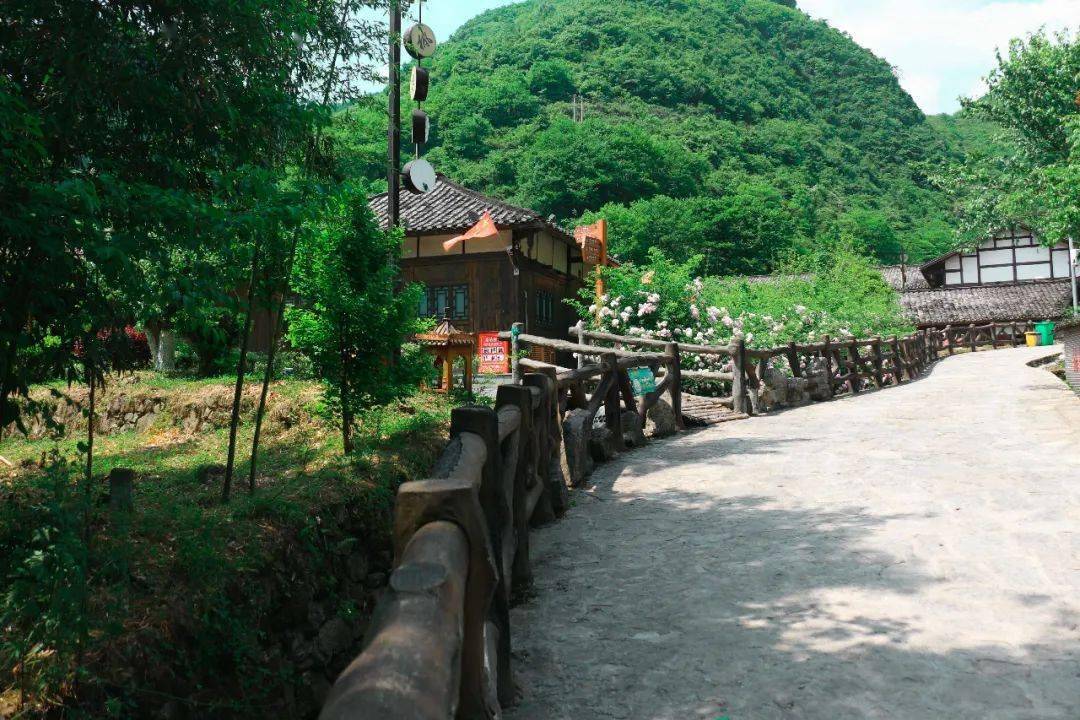 来央视热播《花繁叶茂》拍摄地遵义花茂村避暑,包吃住