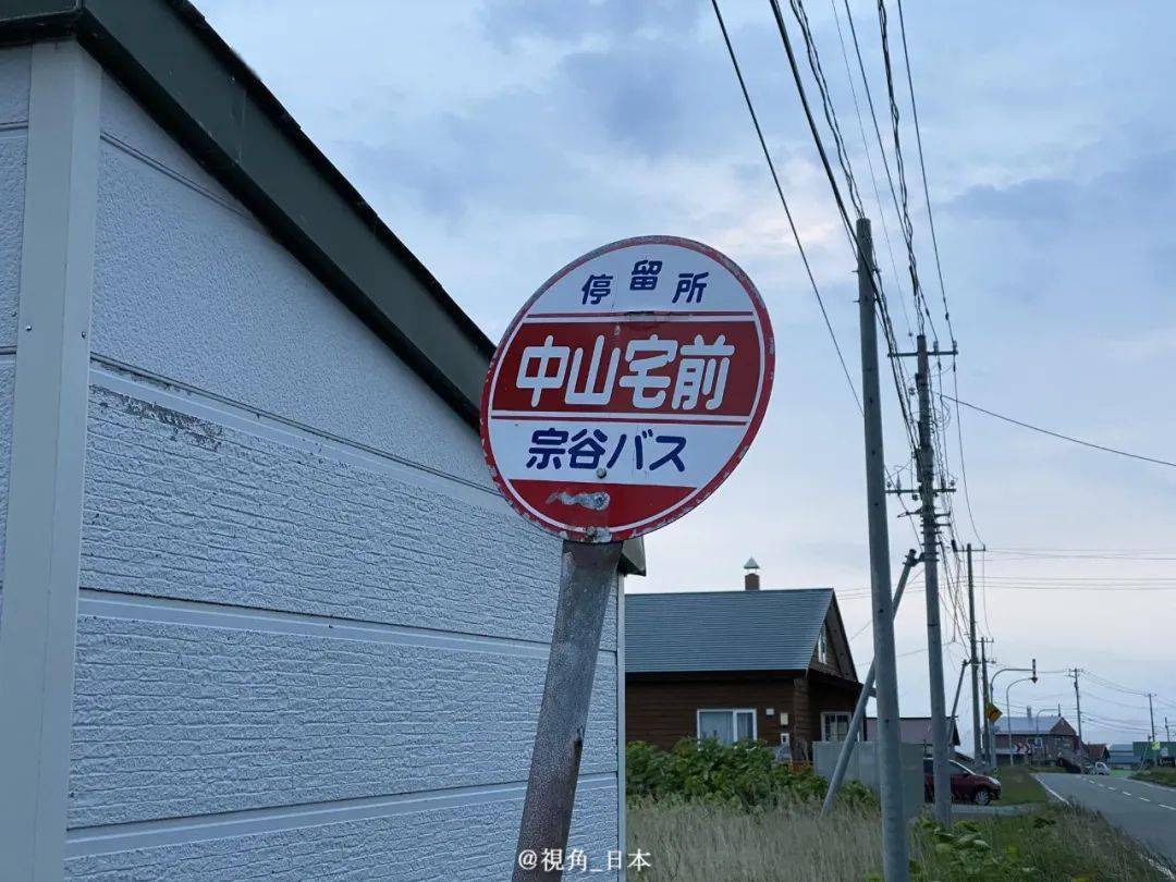 &|今日趣闻 竭尽全力给饲养员添堵的海狮 & 北海道特有的风景 等