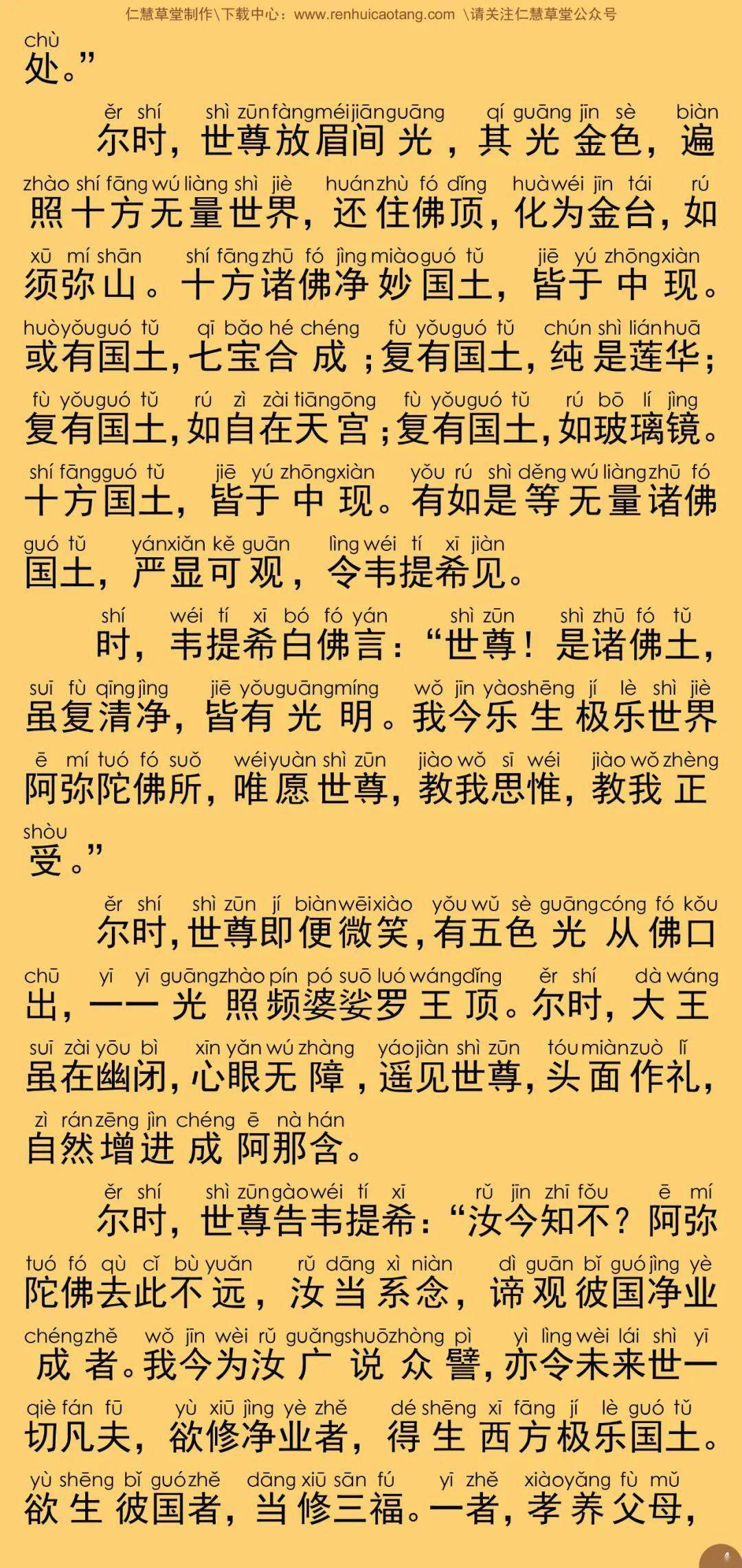无量寿经简谱_无量寿经图片(2)