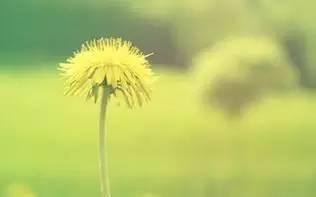 上善若水真正的意思 d9c236587b6049f493de8c0d18a59ee9.jpeg