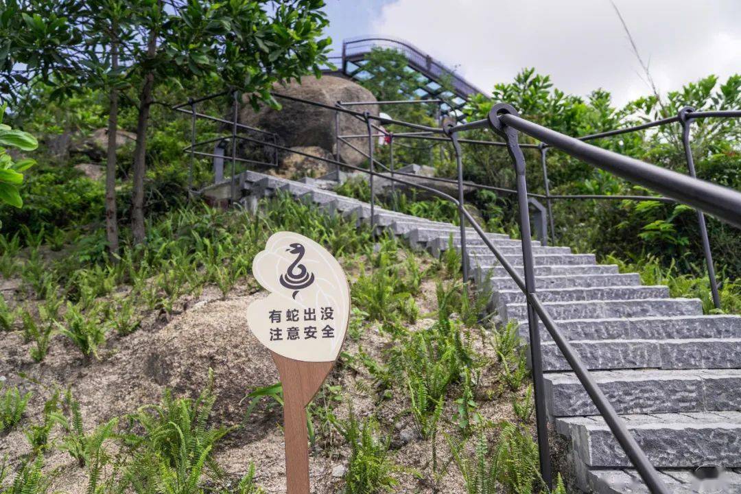 玻璃栈道,360°观景,『空中花园』等你打卡!