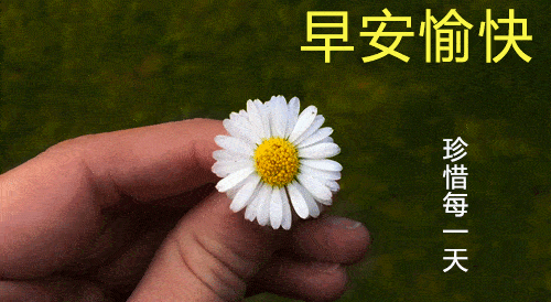 6月26日周六清晨早上好问候祝福动态表情图片 6月最新