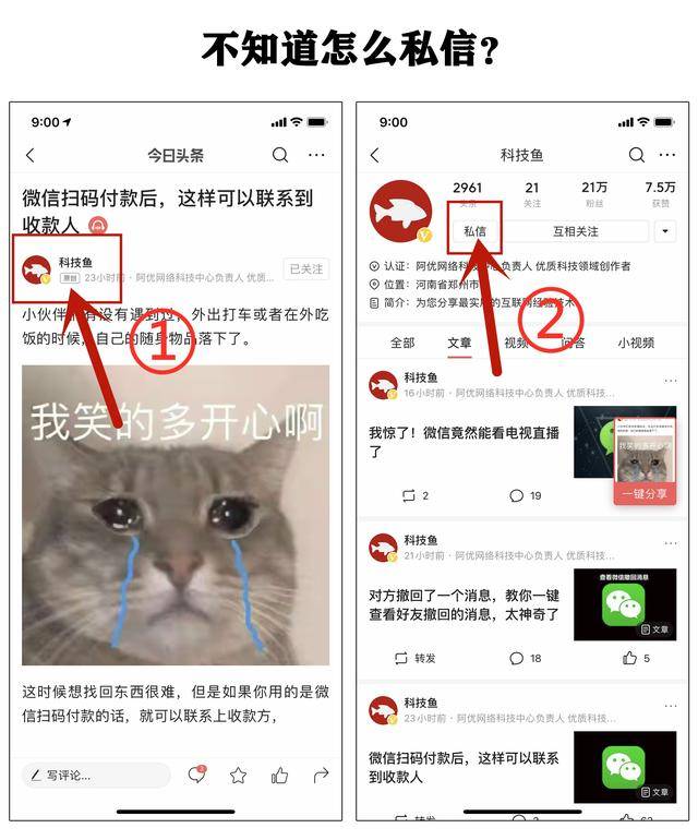 d4c4290afb934015b2efd6e49ca90b7a.jpeg