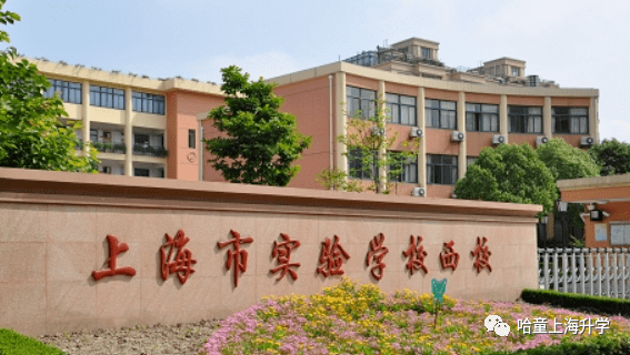 2021小升初系列(四:7个"华二,6个"上实,4个"位育,校名傻傻分不清