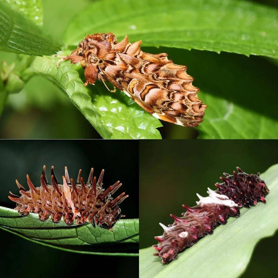 初一生物教案_生物教案下载_高二生物教案