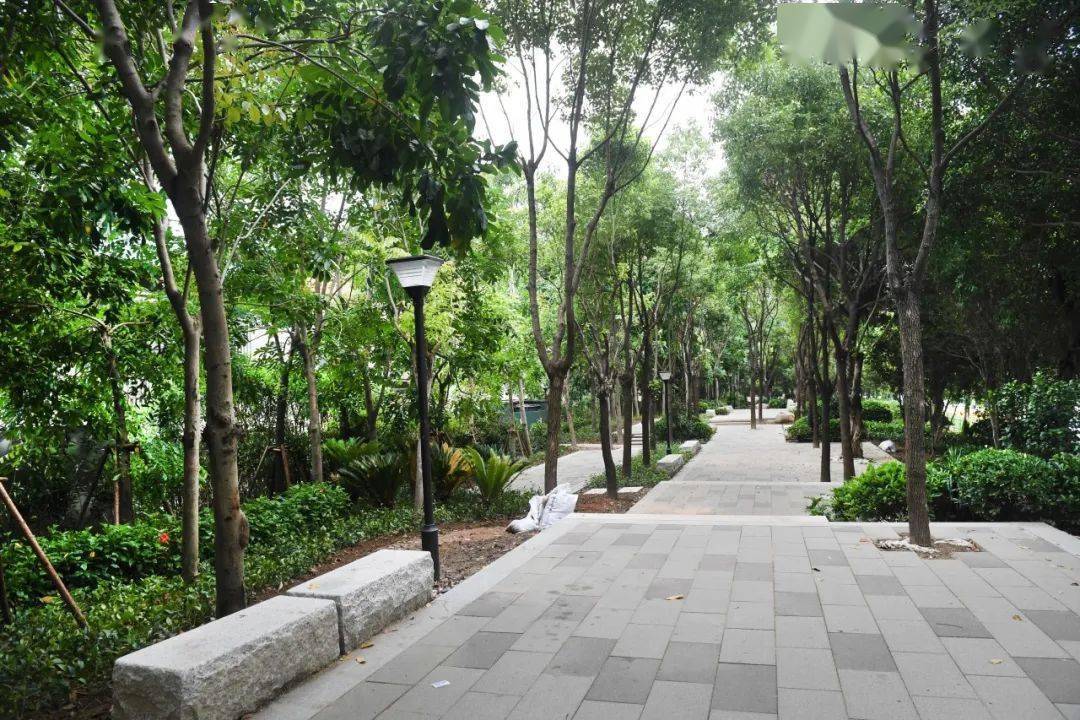 福州这里新增一座街边公园!