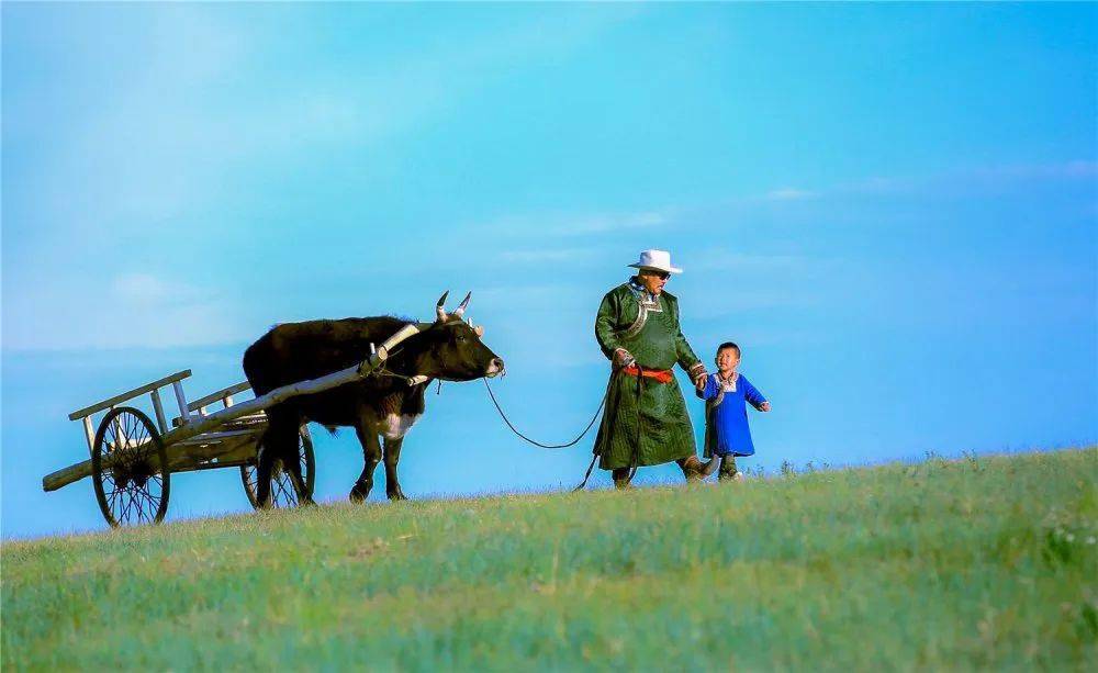 《父亲的草原》