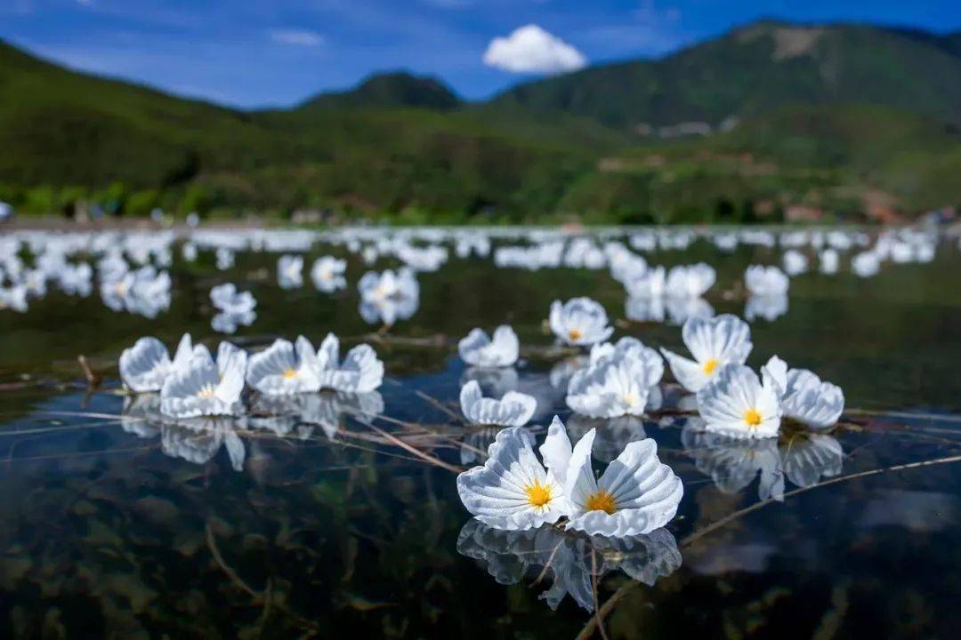 水性杨花泸沽湖,被央视刷屏美到窒息