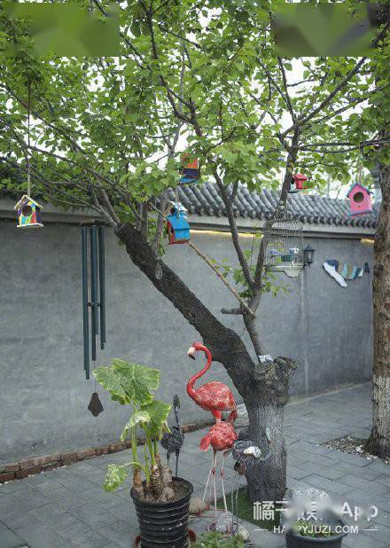 角落|原创44岁张颂文终凭《隐秘的角落》走红！神仙演技模仿吴镇宇，活该他火