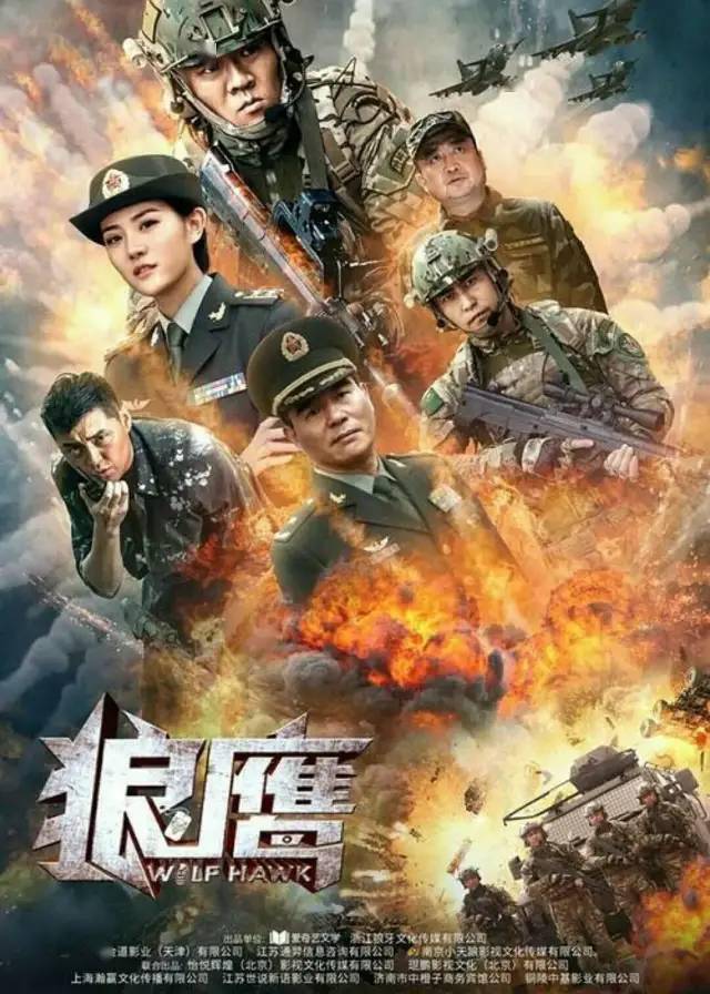 公司,江苏通羿信息咨询有限公司,南京小天狼影视文化传媒有限公司出品