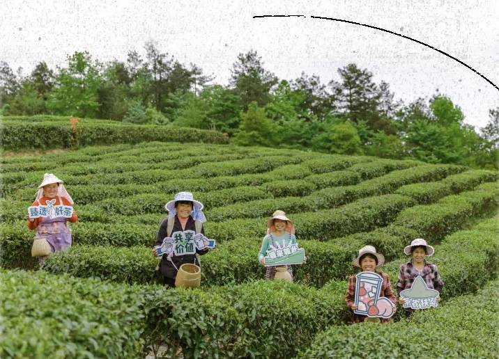 跑马圈地三年，新茶饮仍是一场无限规模游戏|钛媒体深度