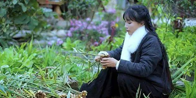 李子柒被写入小学语文考卷，家长吐槽“出卷老师浅薄”引争议